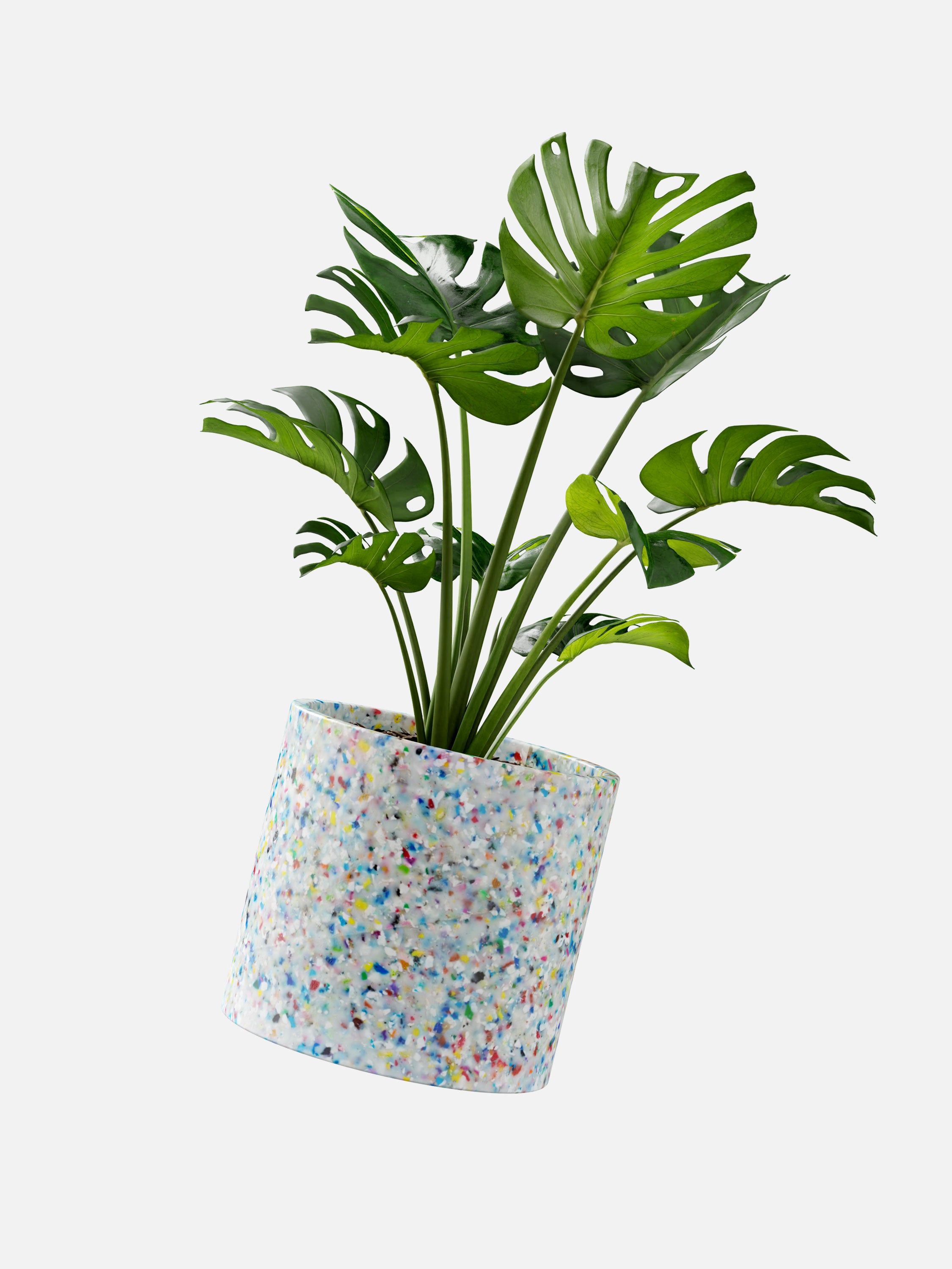 plastic plants perth Mini Recycled Plastic Planter – Joshua Space